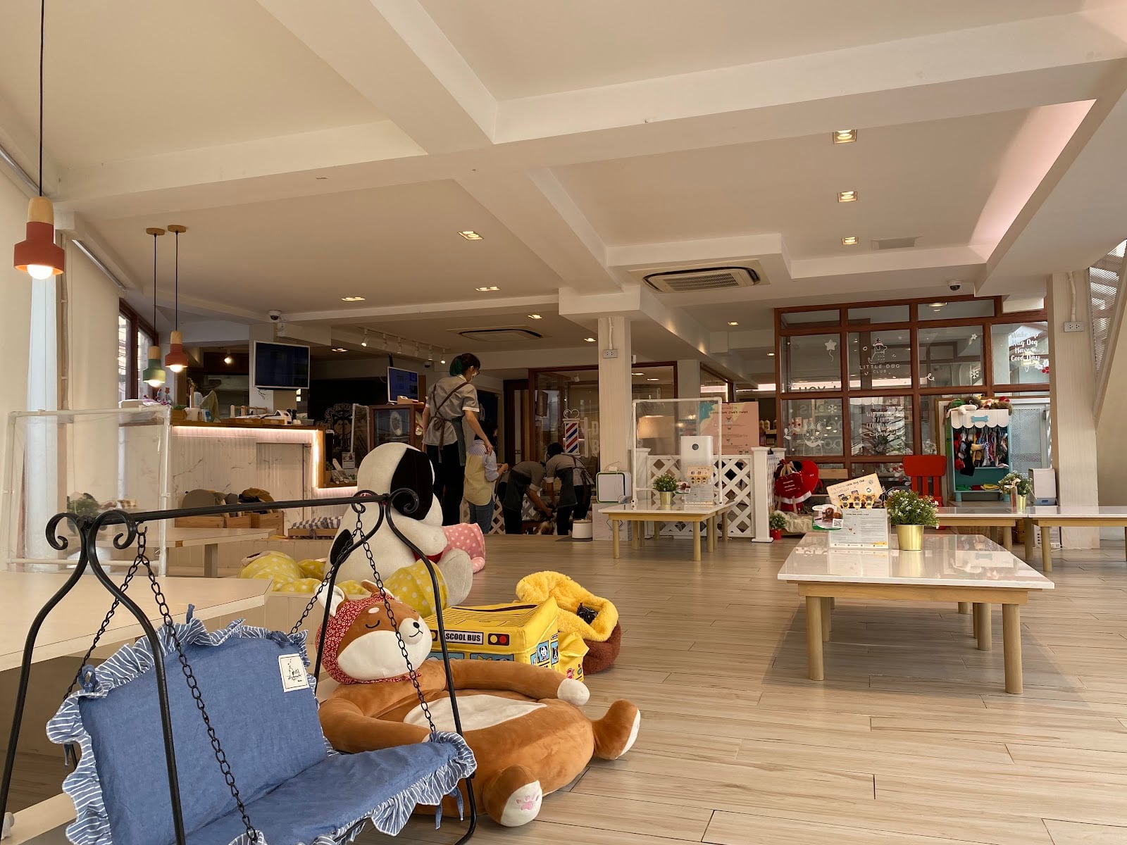 The dog cafe at Little Dog Club